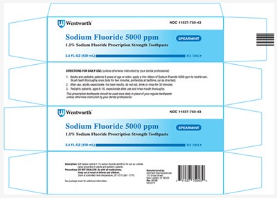 Spearmint Updated Carton